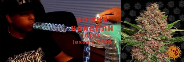 стаф Покачи