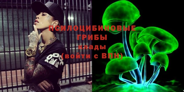 2c-b Алзамай